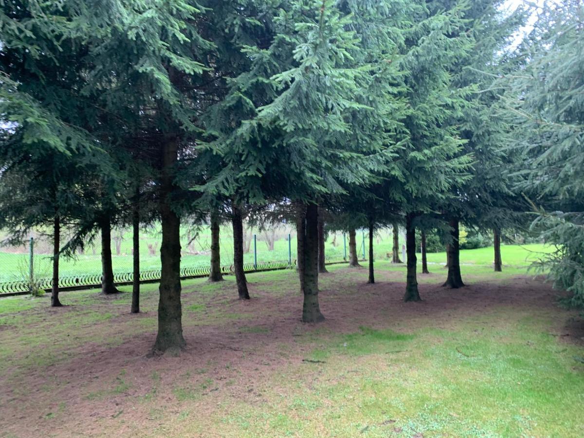Domki Nad Stawem Uherce Uherce Mineralne Exterior photo